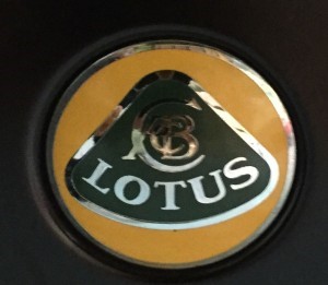 lotus3
