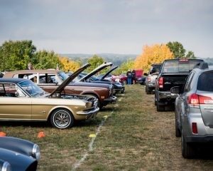 Read more about the article Klingberg 2020 – a Drive-thru Car Show Works!